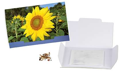 Flower-Card mit Samen