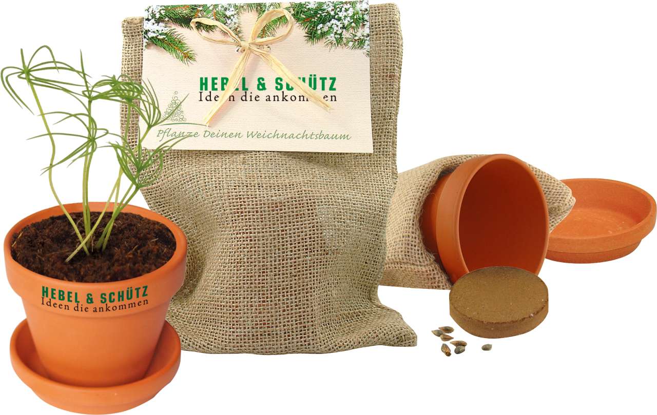 Natur - Säckchen Pflanze deinen Baum