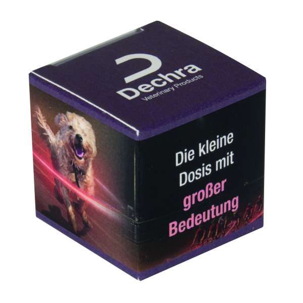 Schoko-Linsen im Süßen Würfel