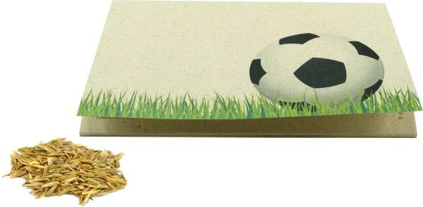 Graspapier-Kärtchen Sportplatz