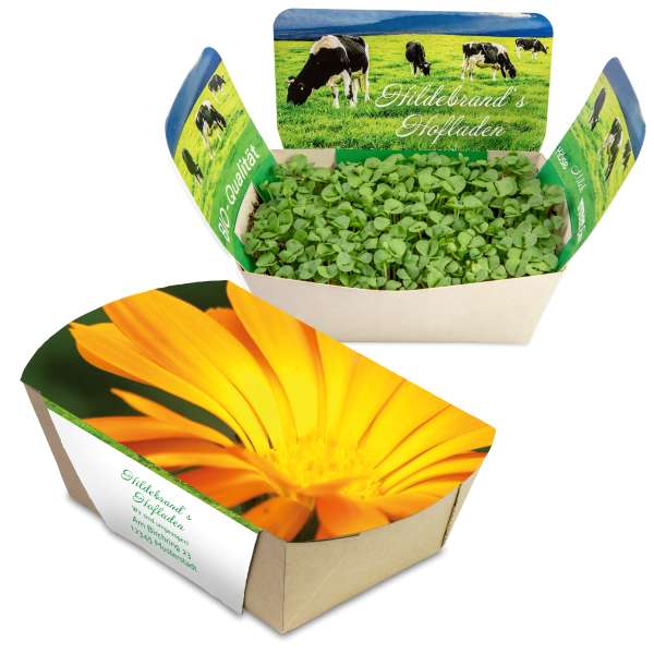 Pflanzodrom mit Samen