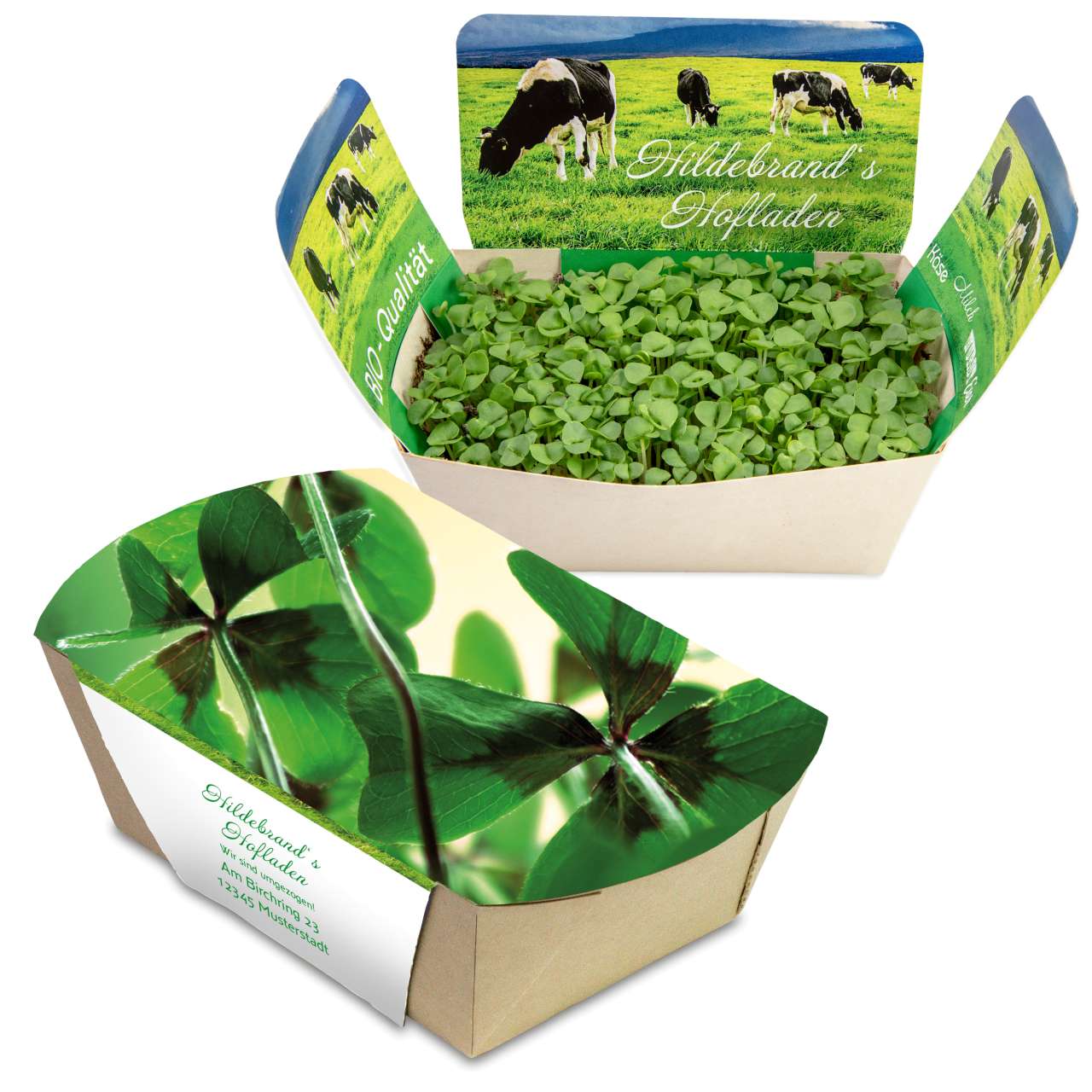 Pflanzodrom mit Samen