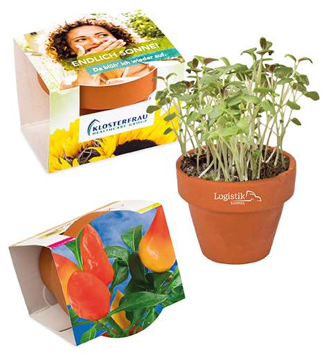 Logo-Töpfchen Überreichverpackung mit Samen