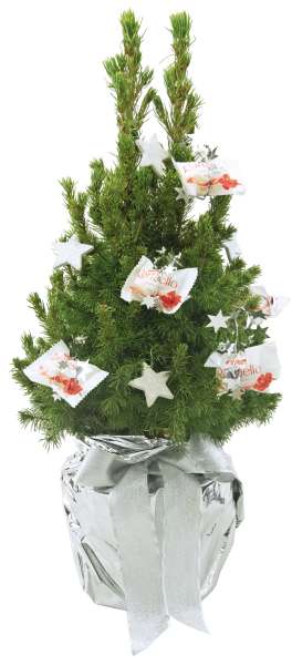 Kristall-Bäumchen 35-45 cm