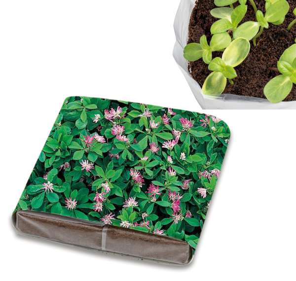 PopUp Anzuchterde mit Samen