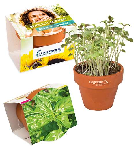 Logo-Töpfchen Überreichverpackung mit Samen