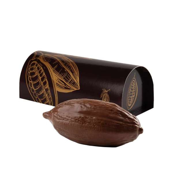 FORME EN CHOCOLAT CABOSSE GRANDE