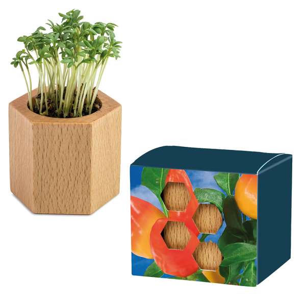 Pflanz-Holz Hexagon mit Samen - Ostern