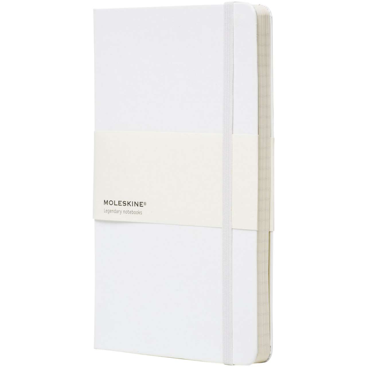 Moleskine Classic Hardcover Notizbuch L – liniert