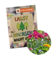 Graspapier - Sommerblumenmischung