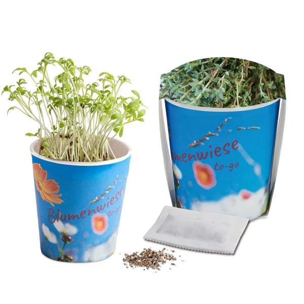 Blumenwiese To-Go - Ostern