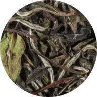 YuboFiT® Bio China White Wings Tee