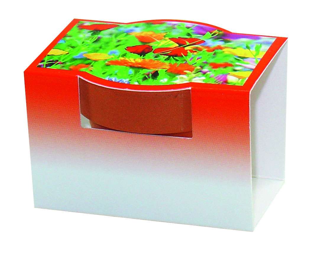 Tontöpfchen Blumengruß