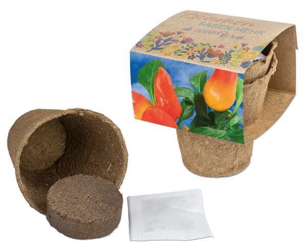 Anzucht-Set mit Samen