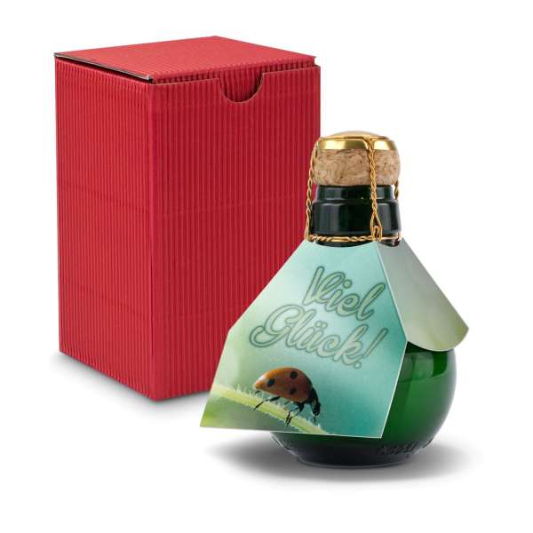 Kleinste Sektflasche der Welt! Viel Glück - Inklusive Geschenkkarton in, 125 ml