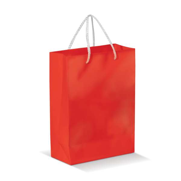 Laminierte Papiertasche, groß