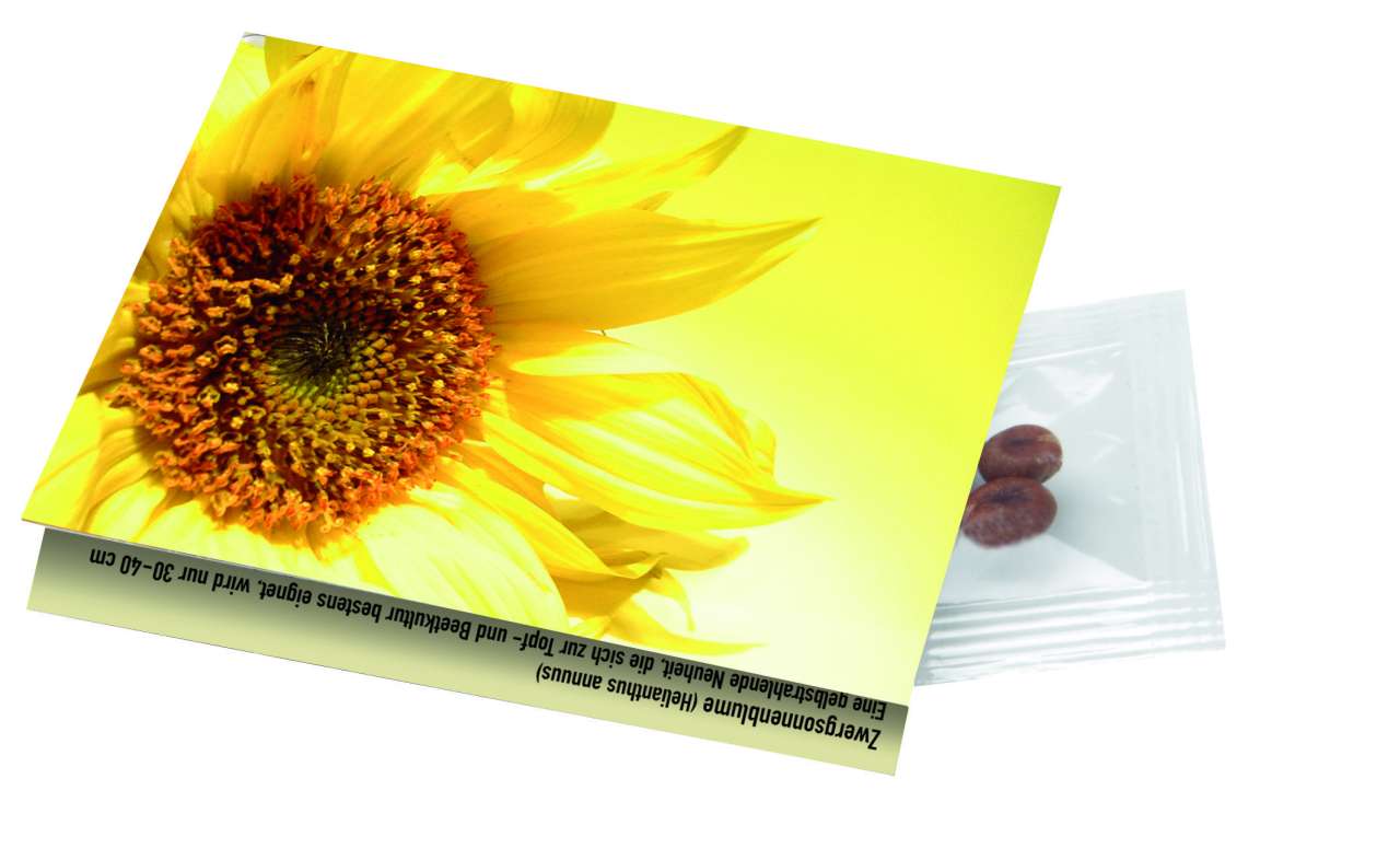 Klappkärtchen Sonne