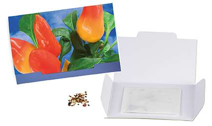 Flower-Card mit Samen