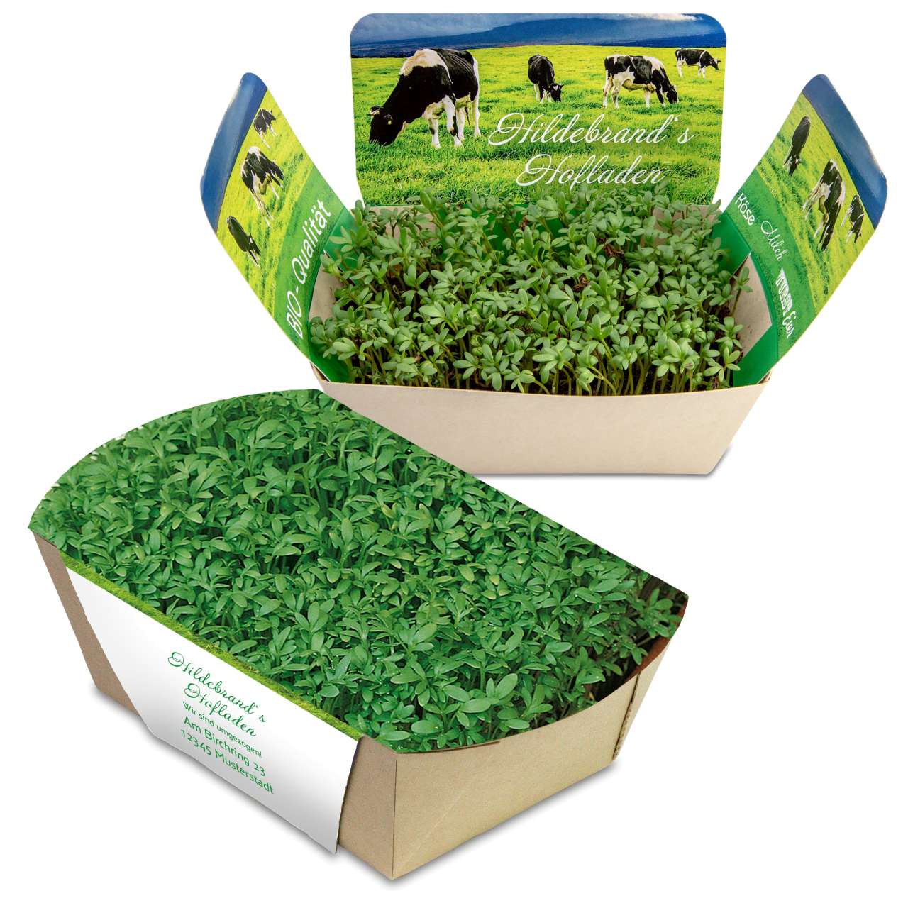 Pflanzodrom mit Samen