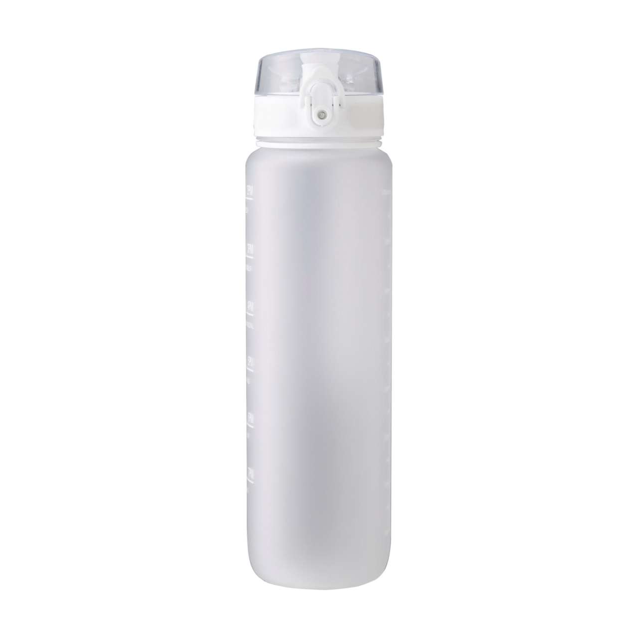 RPET-Trinkflasche (1000 ml) Brinley