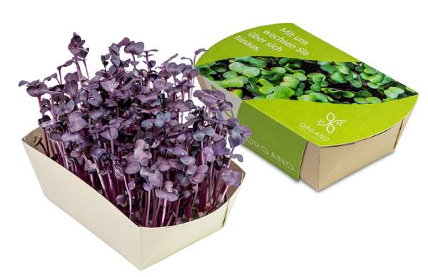 Microgreens-Gärtchen