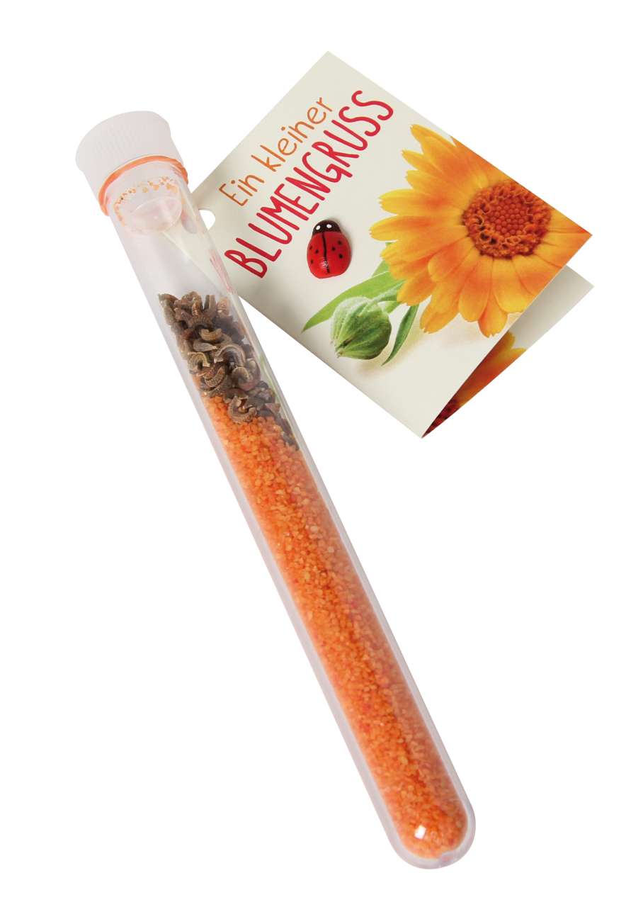 Kleiner Blumengruß Sortiment (24)