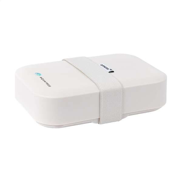 Amuse Classic Lunchbox Medium