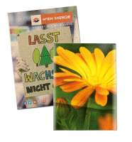 Graspapier - Ringelblume