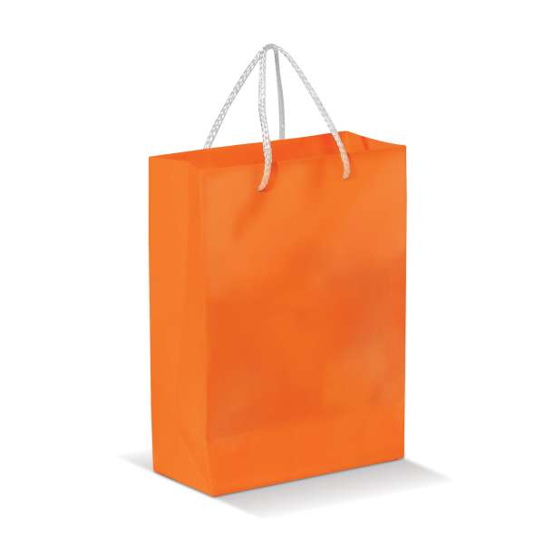 Laminierte Papiertasche, groß