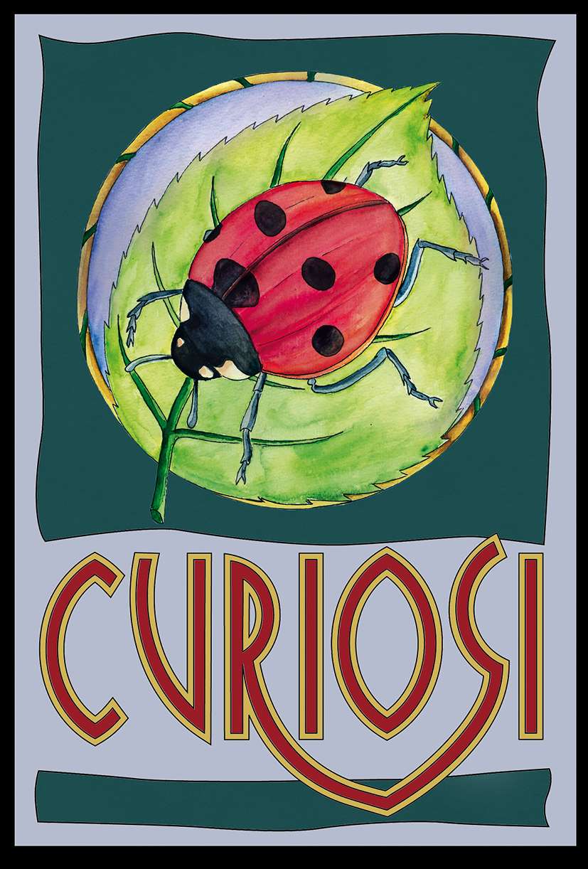 Picoli Puzzle Marienkäfer