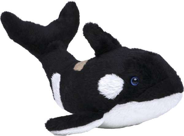 Orca Phil