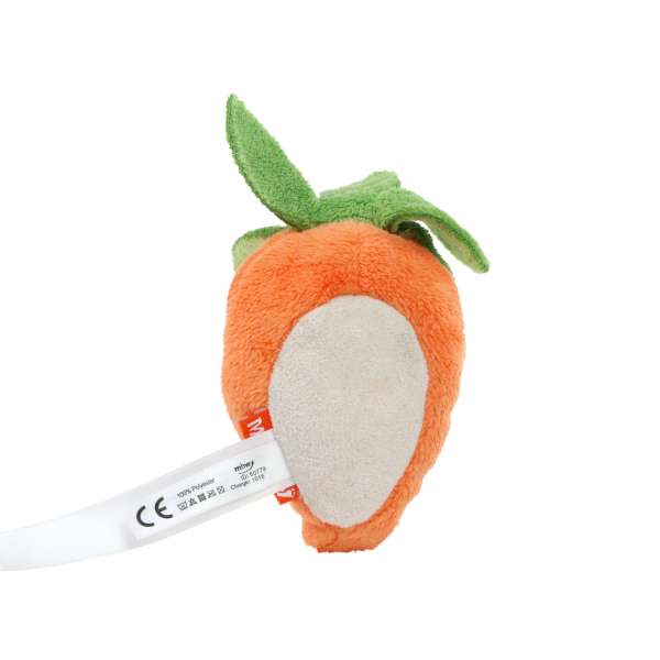 Schmoozies® Karotte