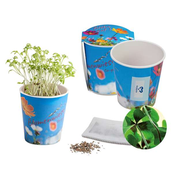 Blumenwiese To-Go - Ostern