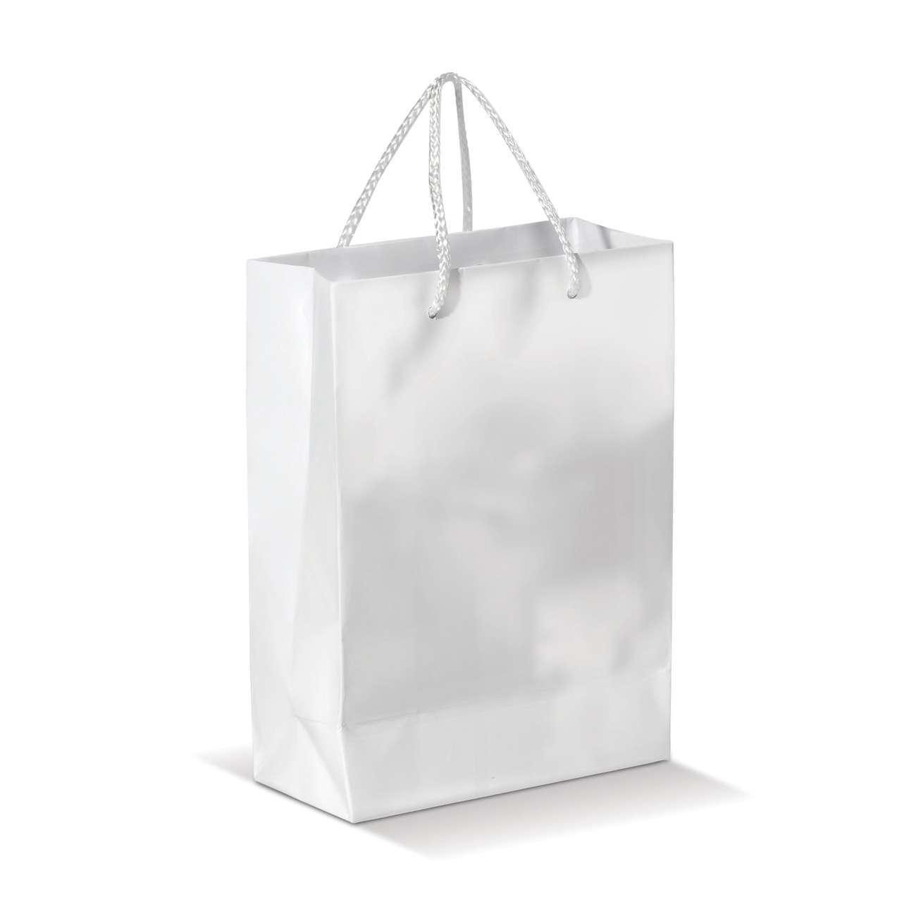 Laminierte Papiertasche, groß