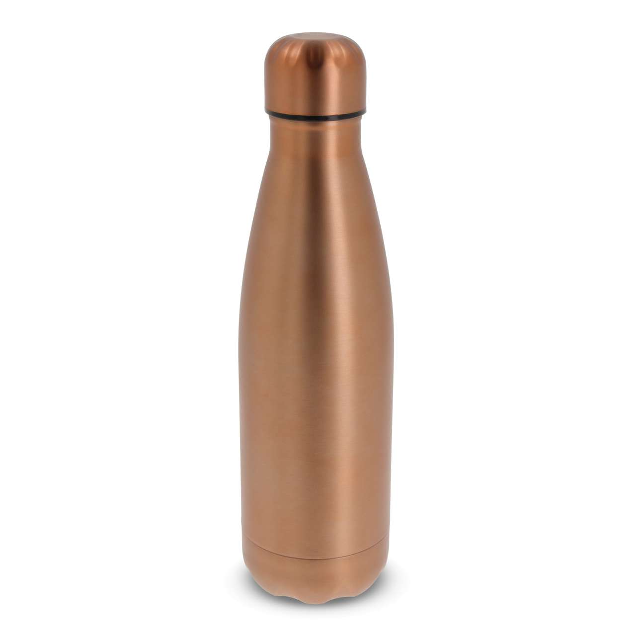 Flasche Swing Metallic Edition 500ml