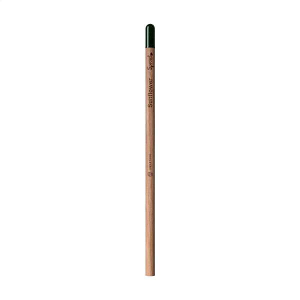 Sproutworld Unsharpened Pencil Bleisstift ungespitzt