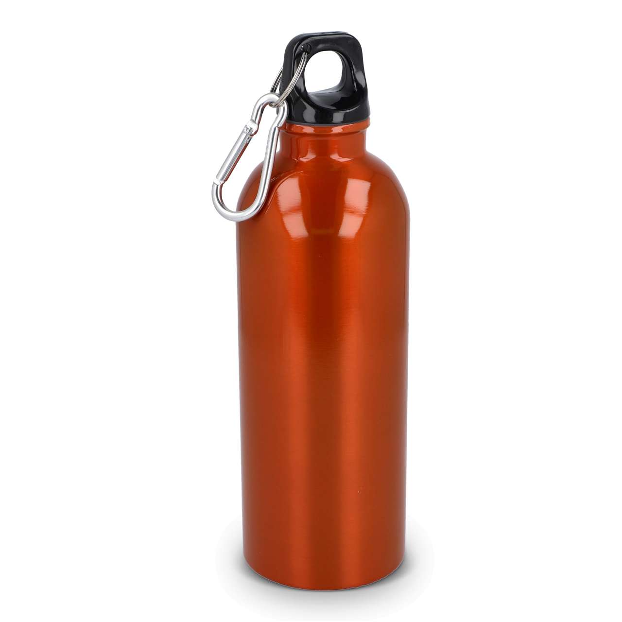 R-Edelstahl einwandige Flasche mit Karabiner 500 ml