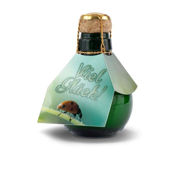 Kleinste Sektflasche der Welt! Viel Glück - Ohne Geschenkkarton, 125 ml