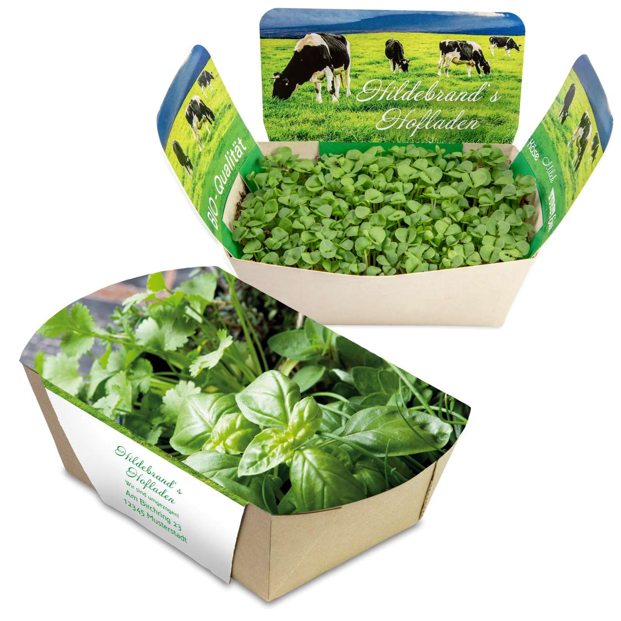 Pflanzodrom mit Samen