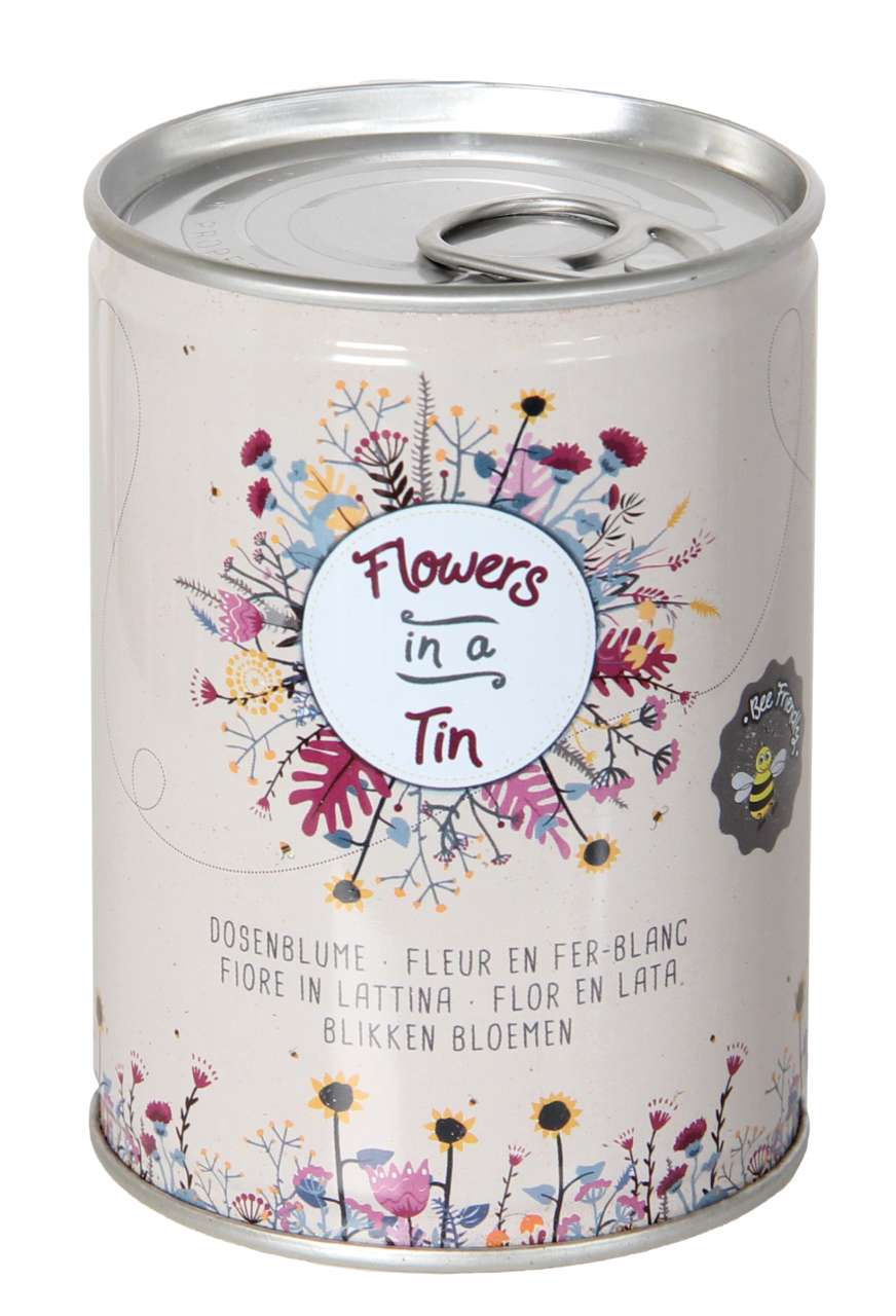 Dosenblume Blumenwiese