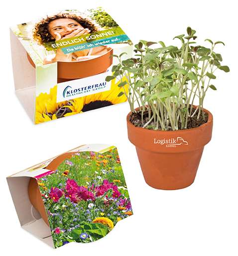 Logo-Töpfchen Überreichverpackung mit Samen