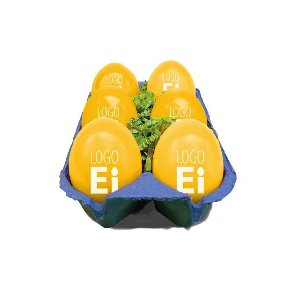 LogoEi 6er-Box blau
