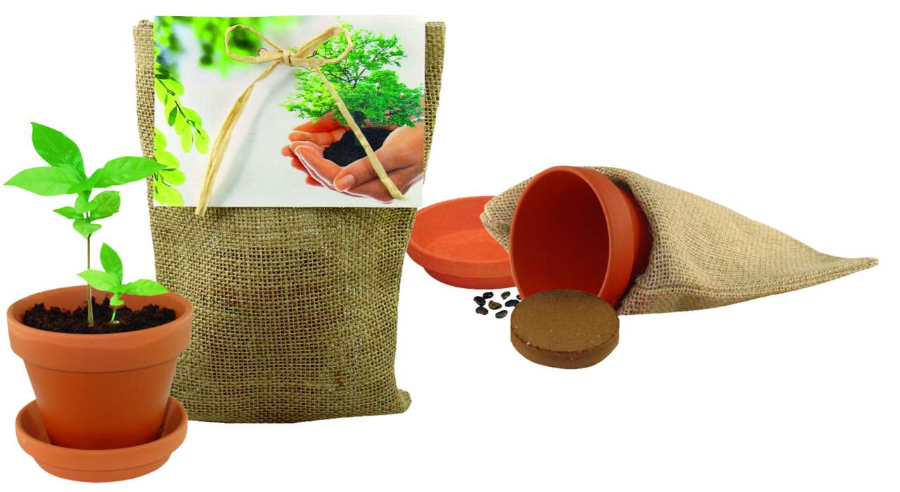 Pflanze Deinen Baum Natur-Säckchen