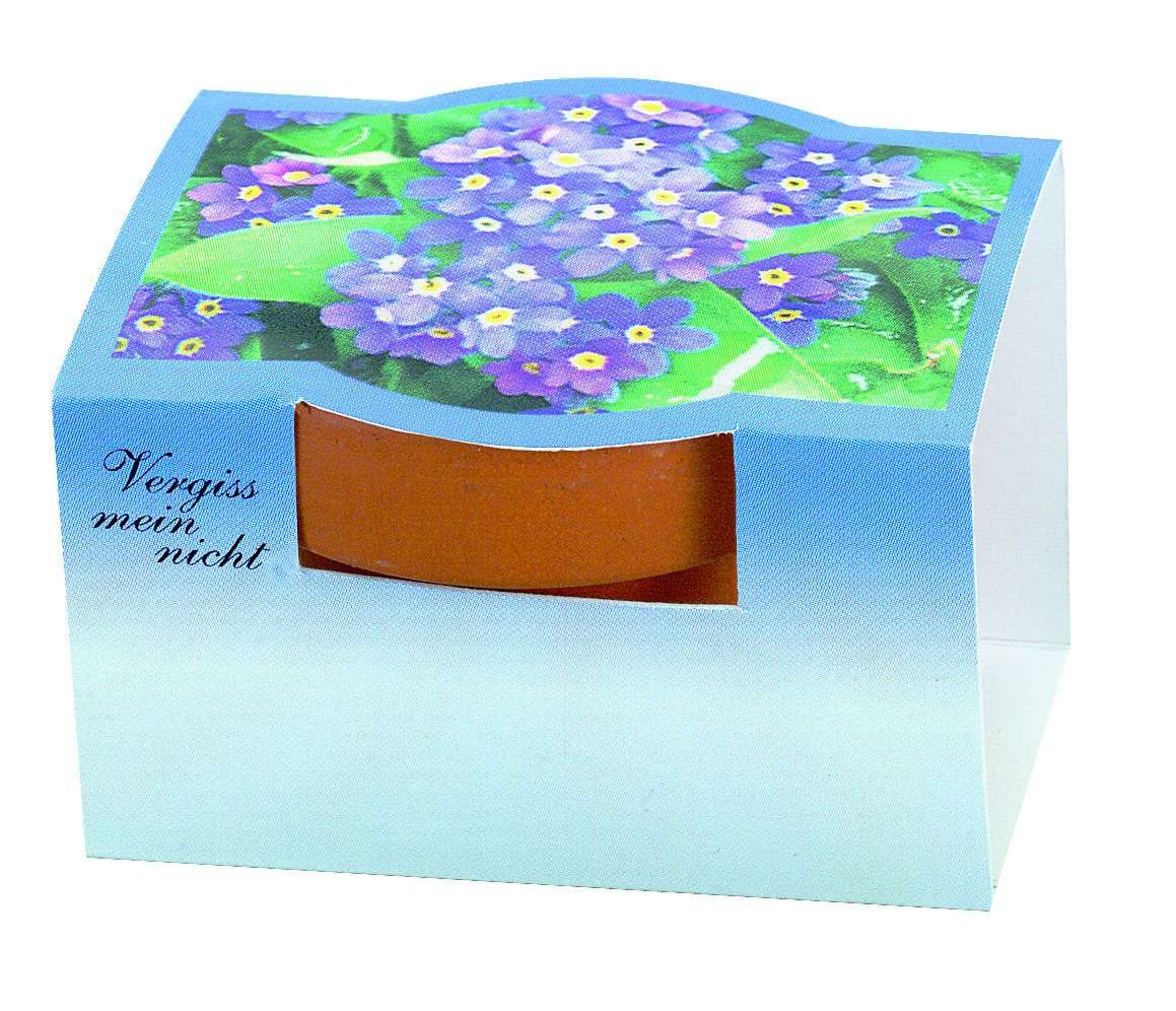 Tontöpfchen Vergiss-mein-nicht