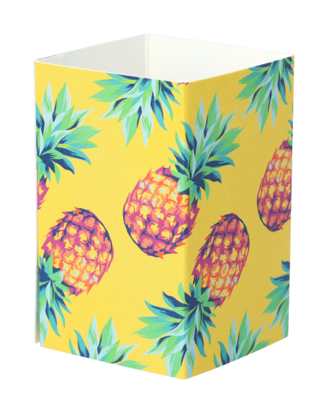 Individueller Pappschuber CreaSleeve 258