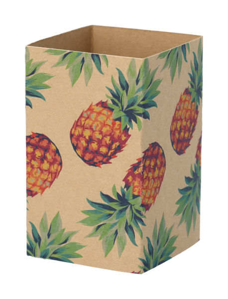 Individueller Pappschuber aus Kraftpapier CreaSleeve Kraft 258