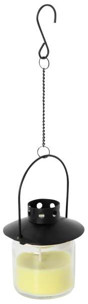 Metall-Glaswindlicht Citronella
