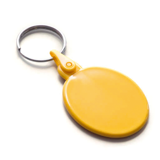 Kunststoff Schlüsselanhänger Oval SALE