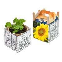 Sommerblumenmischung