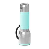 Taschenlampe silber, Ring mint, Hülle mint